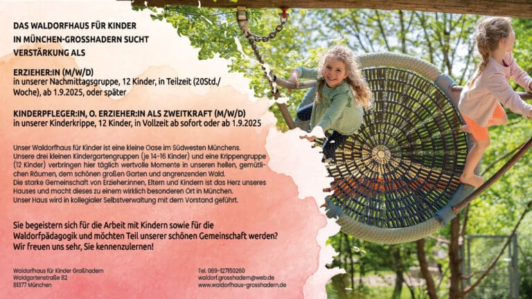 250317 Stellenanzeige digital 1 768x432