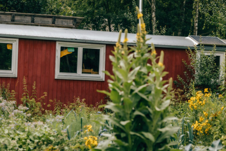 Bauwagen Waldgruppe 1 768x512